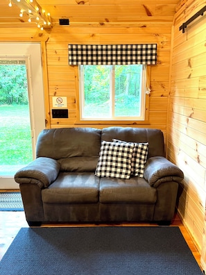Fireplace, books - Spruce Haven (Birnamwood)