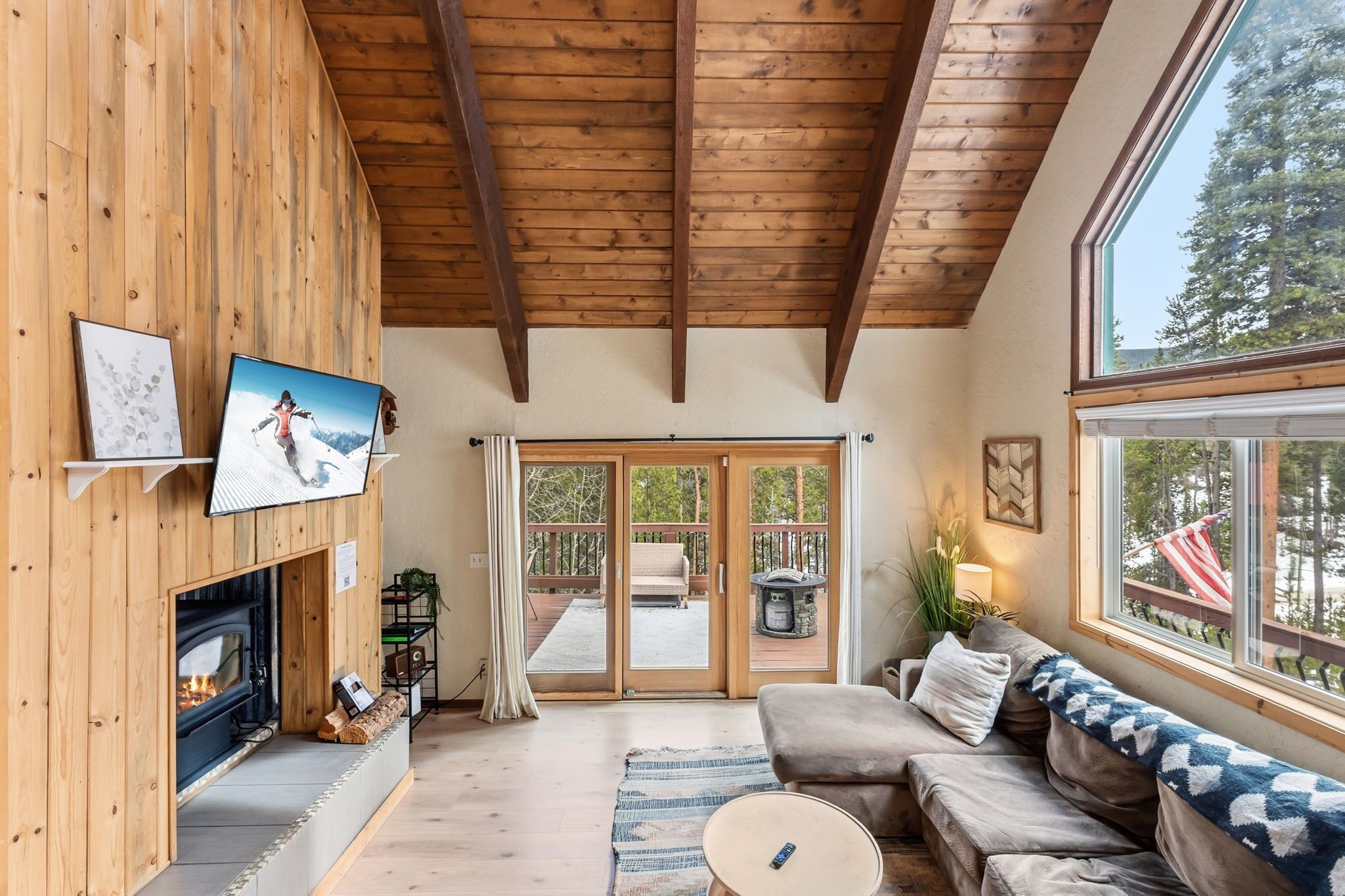 TV, fireplace