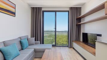 51-inch LCD TV with satellite channels, TV