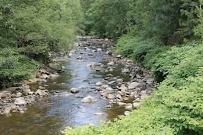 Un río serpentea por una zona boscosa con rocas y abundante vegetación.