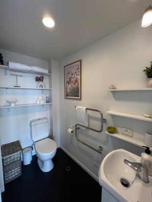 A bathroom with a toilet, sink, and shelves. - Cosy studio with balcony and amazing views! (Auckland)