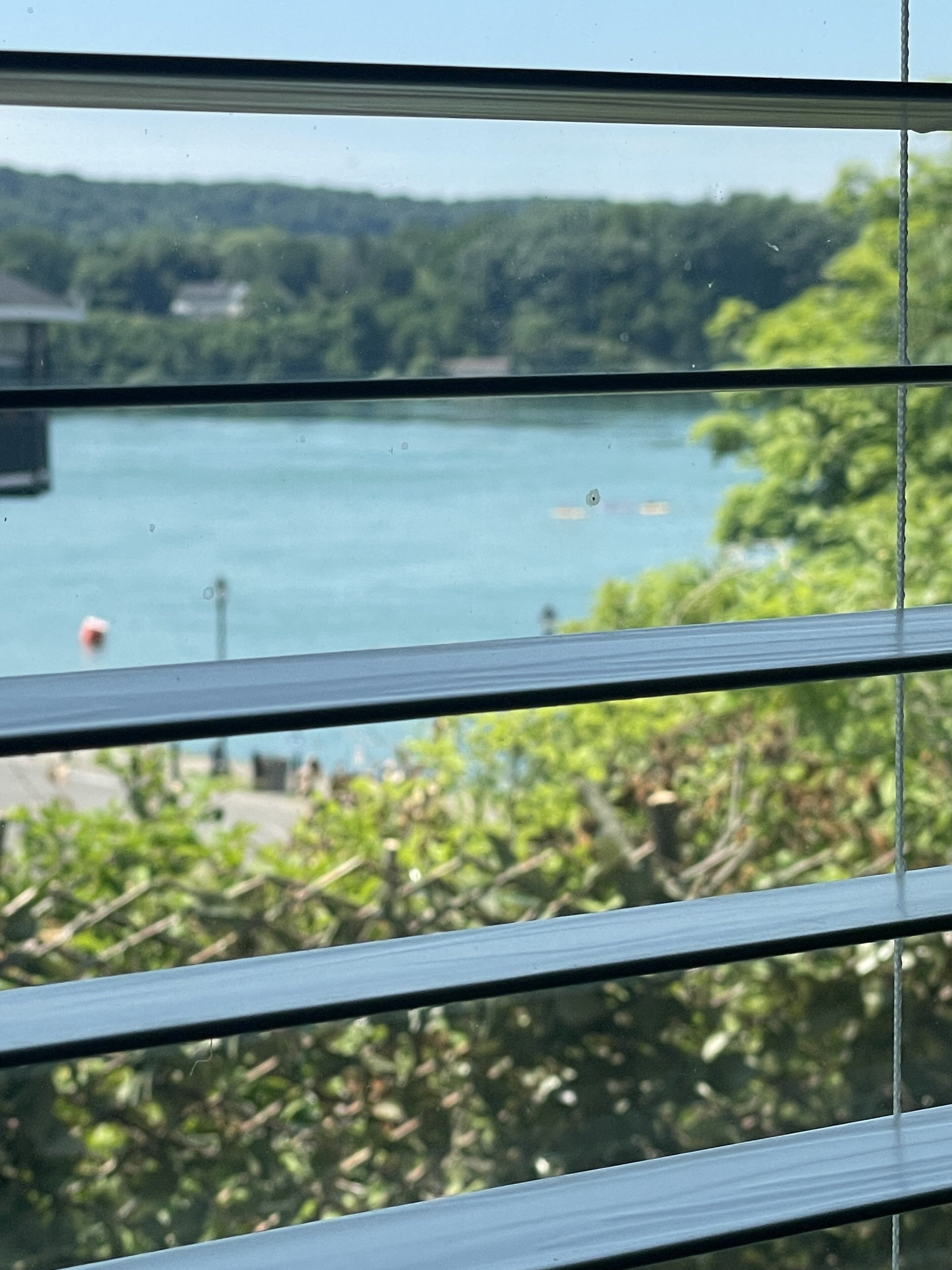 Vista desde la propiedad