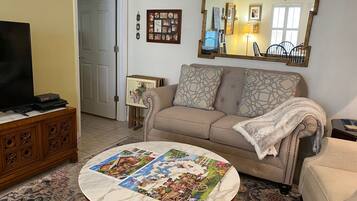 智能电视、DVD 播放器、书、影片库