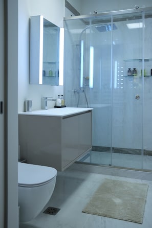 Shower, hair dryer, towels, soap