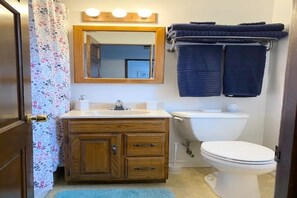 Combined shower/tub