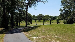 A paved pathway in a park with trees on both sides. - "the Sweet", close to downtown, beaches, parks, colleges, airports & hospitals. (Jacksonville)