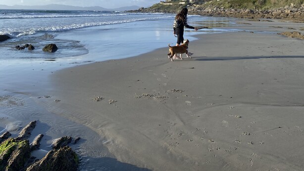 A beach with a person and a dog walking along the shore. - Apartamento Playa Ladeira (Santa Cristina da Ramallosa)