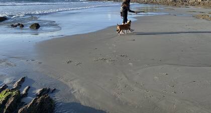 Apartamento Playa Ladeira