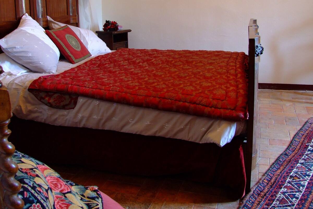 A bedroom with a wooden bed, a red bedspread, a canopy, a nightstand with a lamp, and a patterned rug.