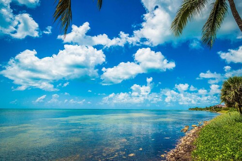 Beachfront 2BDR Condo, Pool & Hot Tub w/ Ocean Views | Papaya Place by AvantStay