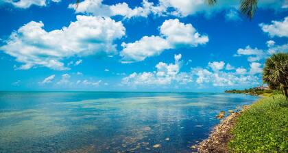 Beachfront 2BDR Condo, Pool & Hot Tub w/ Ocean Views | Papaya Place by AvantStay