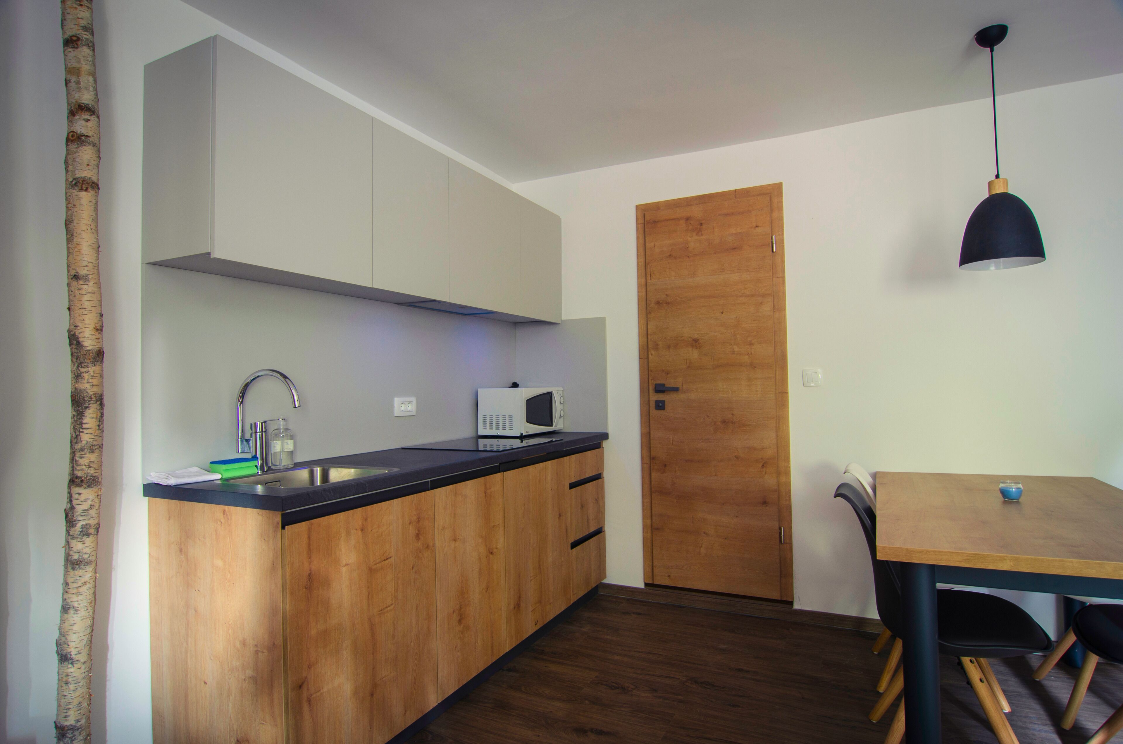 Fridge, microwave, stovetop, electric kettle