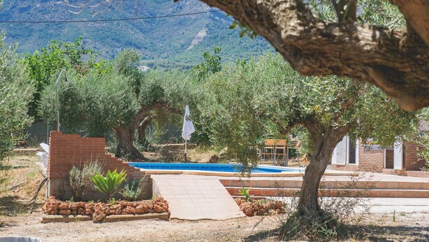 A pool area with a clear view of mountains in the background, surrounded by olive trees and a brick wall. - Cubo's Finca Sanchez Aranda / Private swimming pool / free wifi (Alhaurín el Grande)