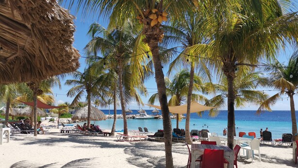 A beach with palm trees, lounge chairs, and a pool area. - Fantastic ocean view apartment on Blue Bay (Sint Michiel)