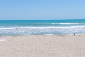 Beach - Poolside Paradise: 2B/2B Oceanfront Complex Steps to Pool and Beach (Cape Canaveral)