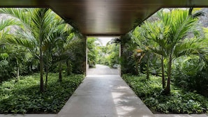 Un sentier abrité, bordé d’une végétation luxuriante et de palmiers, qui mène à un mur de pierre.