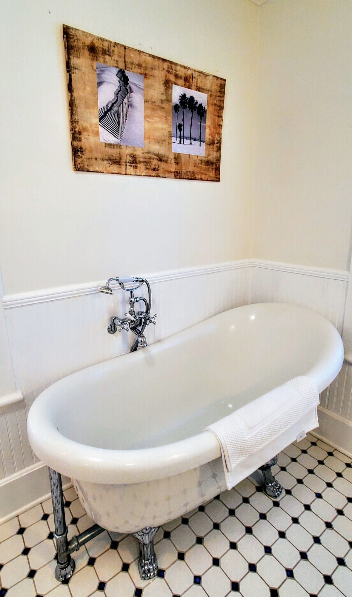 Photo 38 of Pet Friendly Oceanfront Retreats Unbeatable Discounts on Your Seaside Sanctuary!