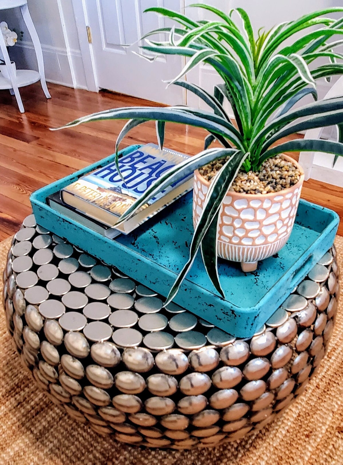 Photo 58 of Pet Friendly Oceanfront Retreats Unbeatable Discounts on Your Seaside Sanctuary!