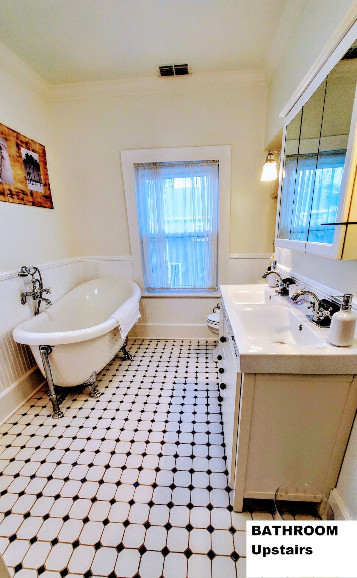 Photo 10 of Pet Friendly Oceanfront Retreats Unbeatable Discounts on Your Seaside Sanctuary!