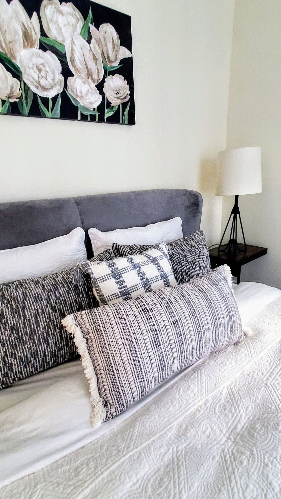 Photo 41 of Pet Friendly Oceanfront Retreats Unbeatable Discounts on Your Seaside Sanctuary!