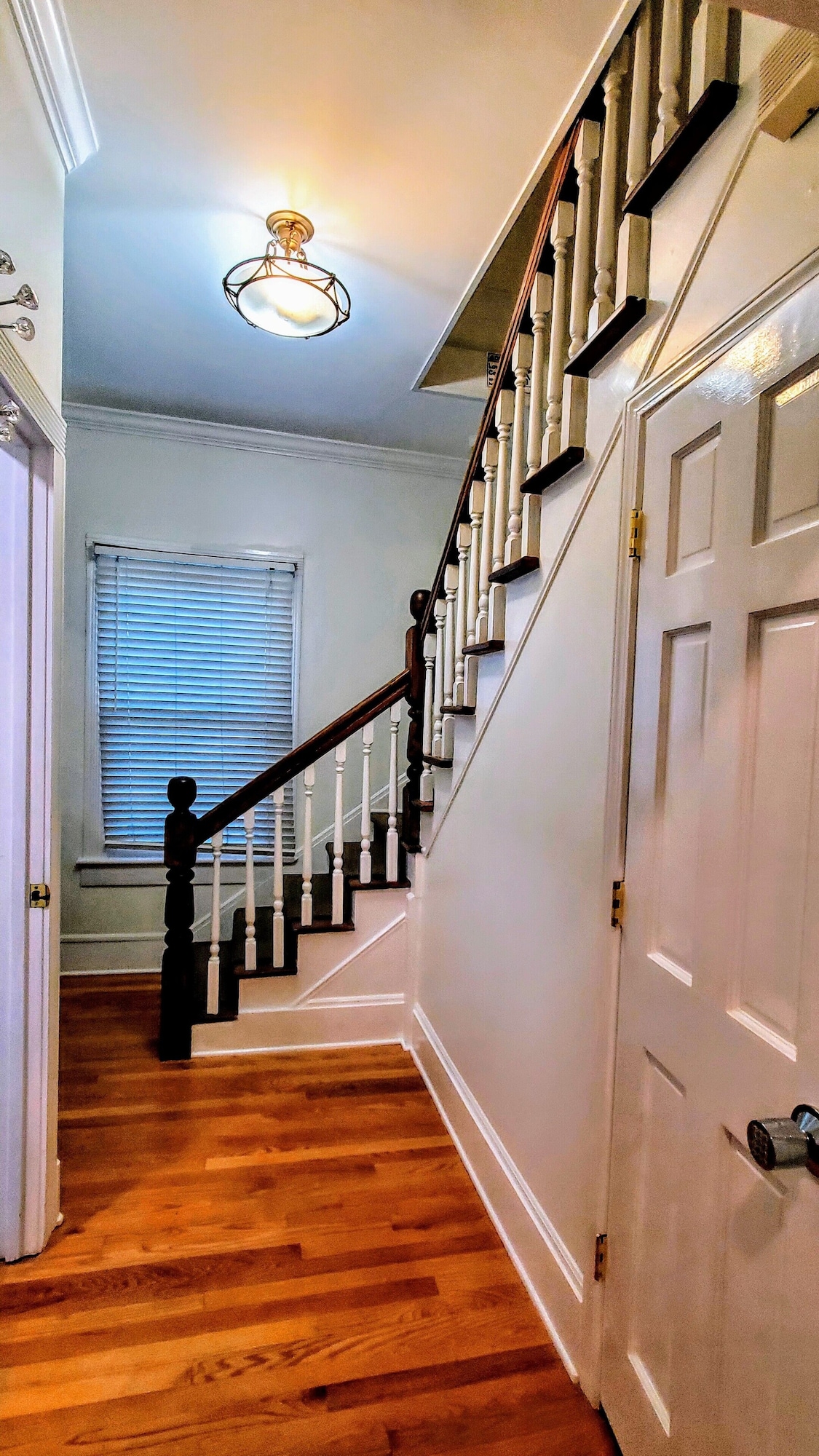Photo 34 of Pet Friendly Oceanfront Retreats Unbeatable Discounts on Your Seaside Sanctuary!