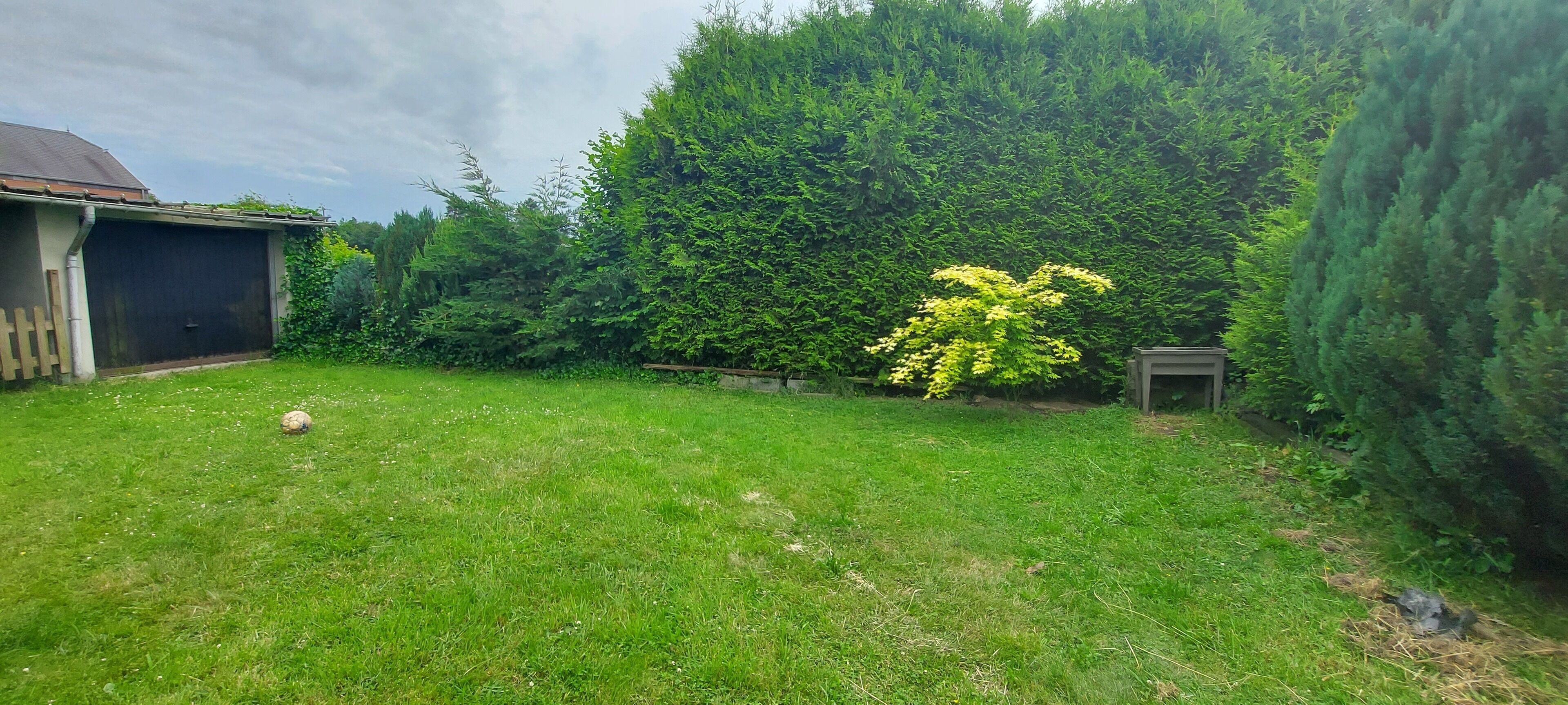 A grassy backyard with a shed, a tree, and a bush.