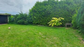 A grassy backyard with a shed, a tree, and a bush.