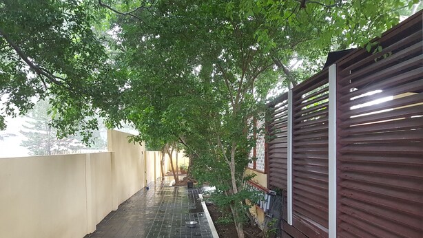 A narrow, wet pathway with a metal fence on one side and a wooden structure on the other. - Nice & private in our backyard with own entry & parking lot. (Willemstad)