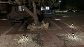 Ein beleuchteter Außenbereich bei Nacht mit Baum, Bank und gepflastertem Weg.