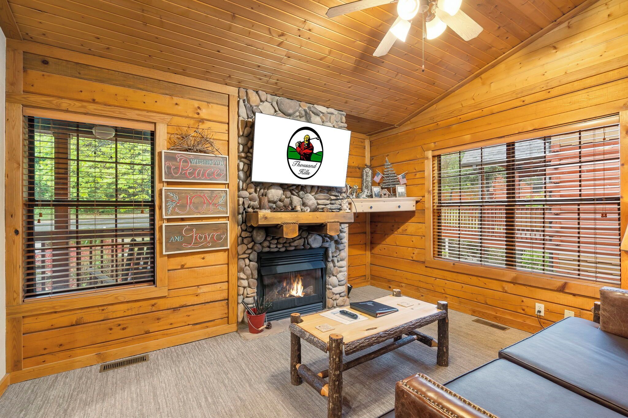 TV connectée, cheminée, lecteur de DVD