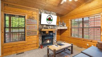 TV connectée, cheminée, lecteur de DVD