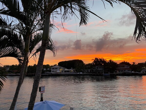 Vista do pôr do sol sobre a água, com palmeiras e casas ao fundo.