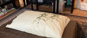 Modest sleeping quarter,cozy quiet private loft. 純過夜不貴的方便小閣樓。