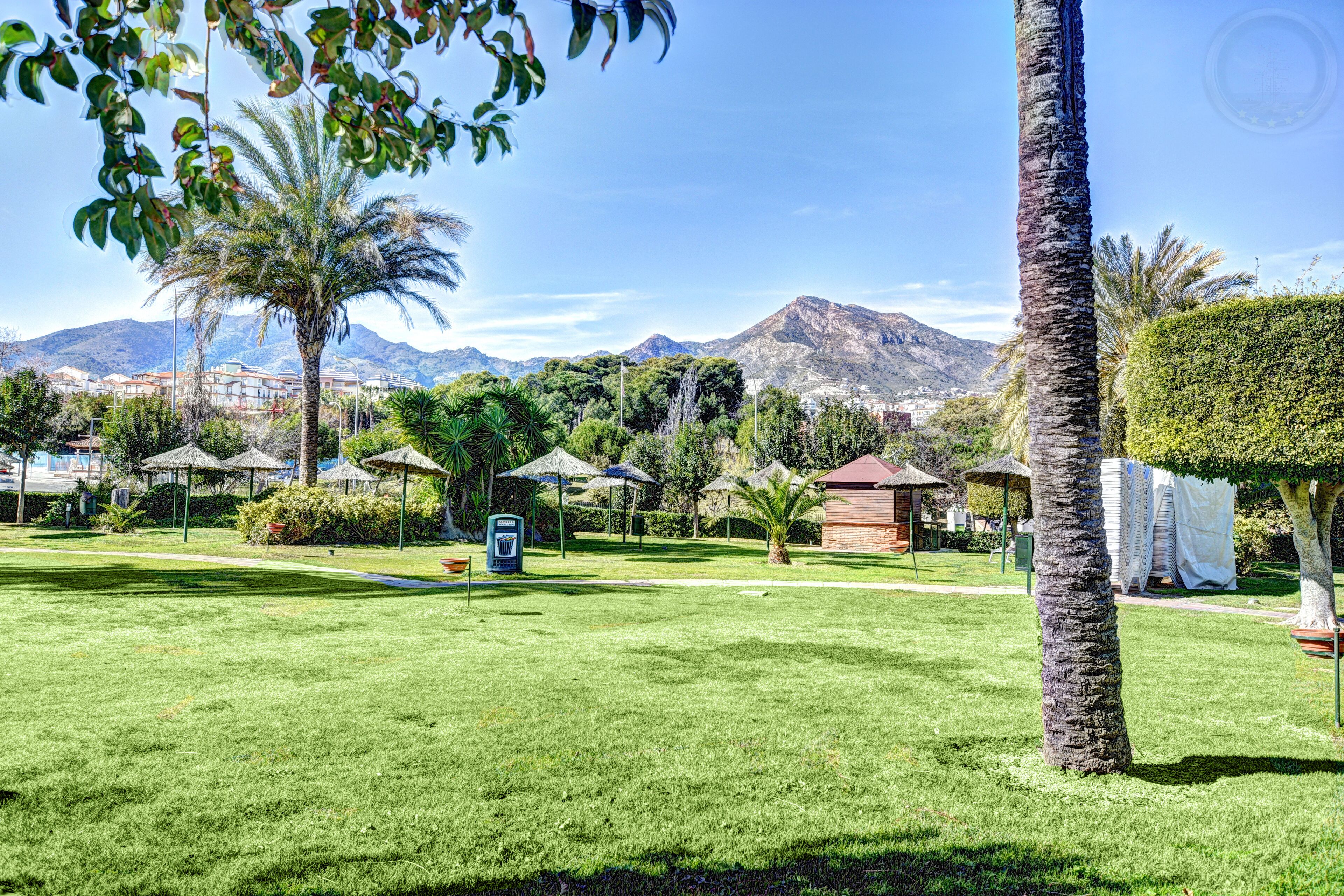 A well-maintained grassy area with palm trees, a water fountain, and a view of mountains in the background.