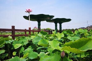 Un jardín con hojas verdes grandes y una flor rosa.