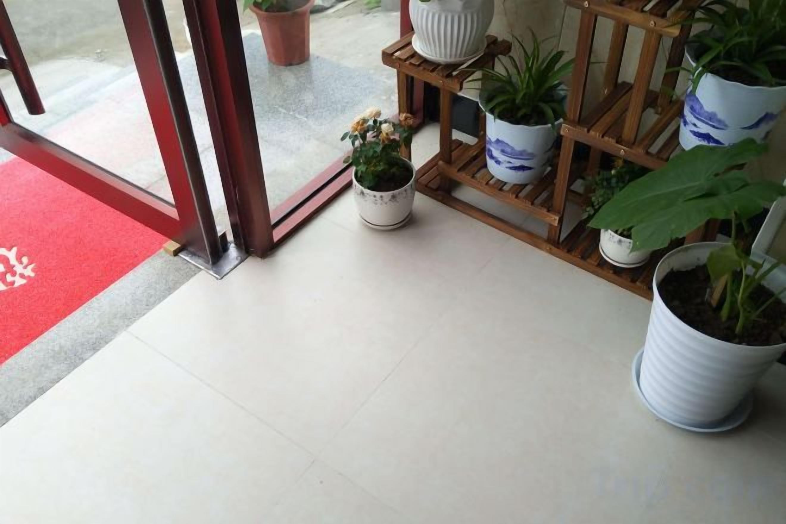 A hotel entrance with a red carpet, potted plants, and a wooden rack.