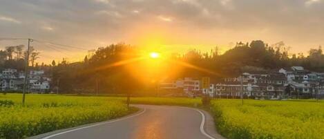 A curved road with a sunrise in the background and a field of yellow flowers on the sides.