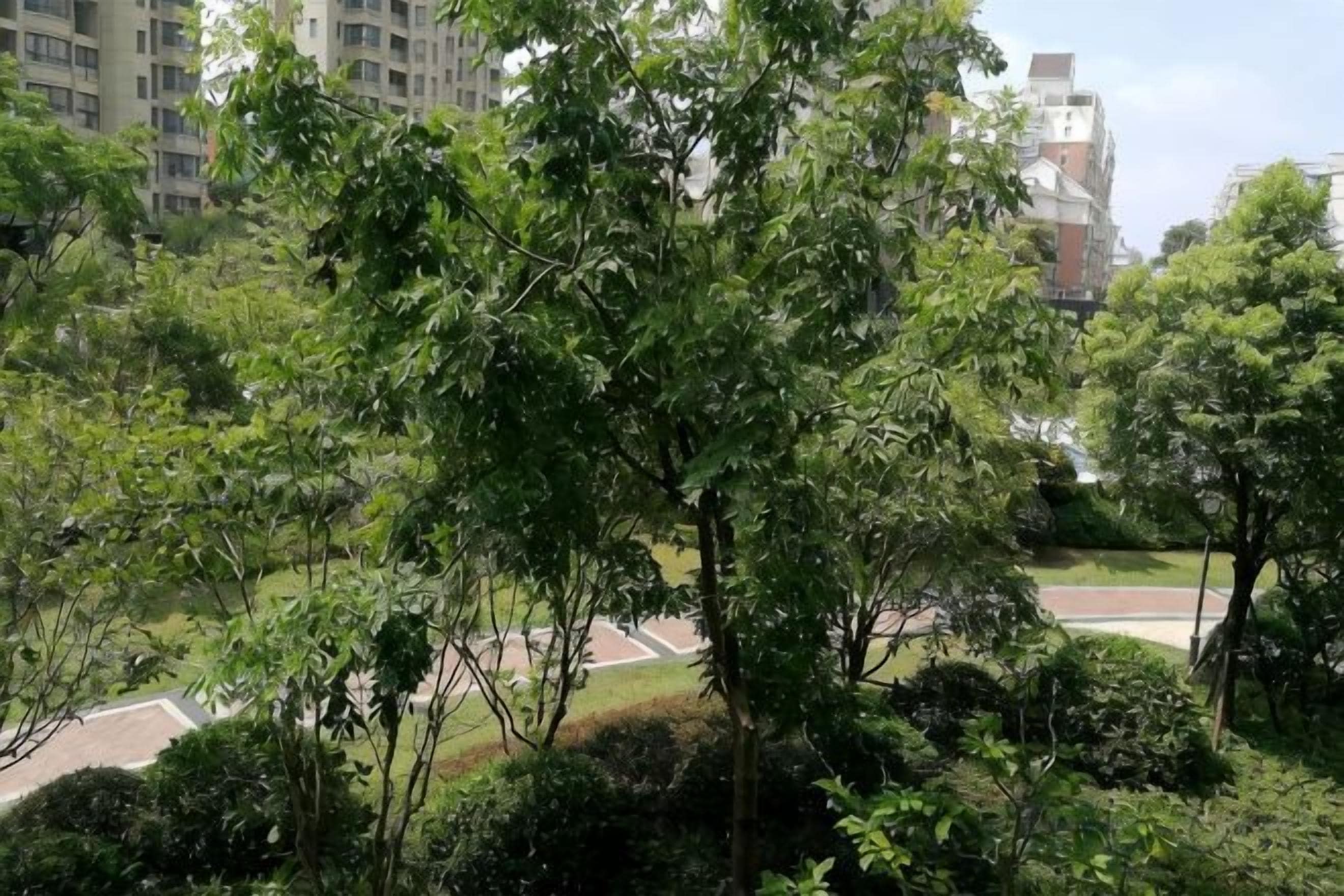 A park with trees and a pathway.