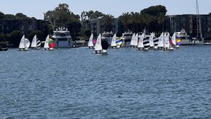 A marina with multiple sailboats docked.