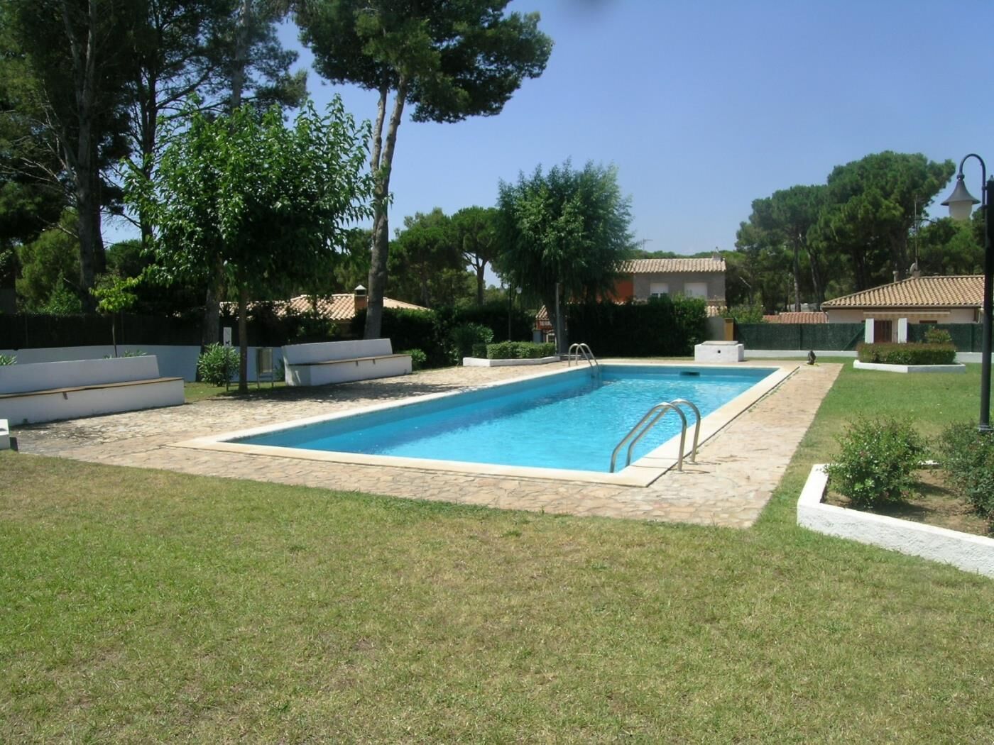 A rectangular swimming pool with a tiled deck, surrounded by grass and trees.