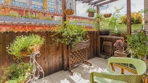 A covered patio with a wooden fence, potted plants, and a wicker chair. - Shanghai Shikumen Culture Homestay (Shanghai)