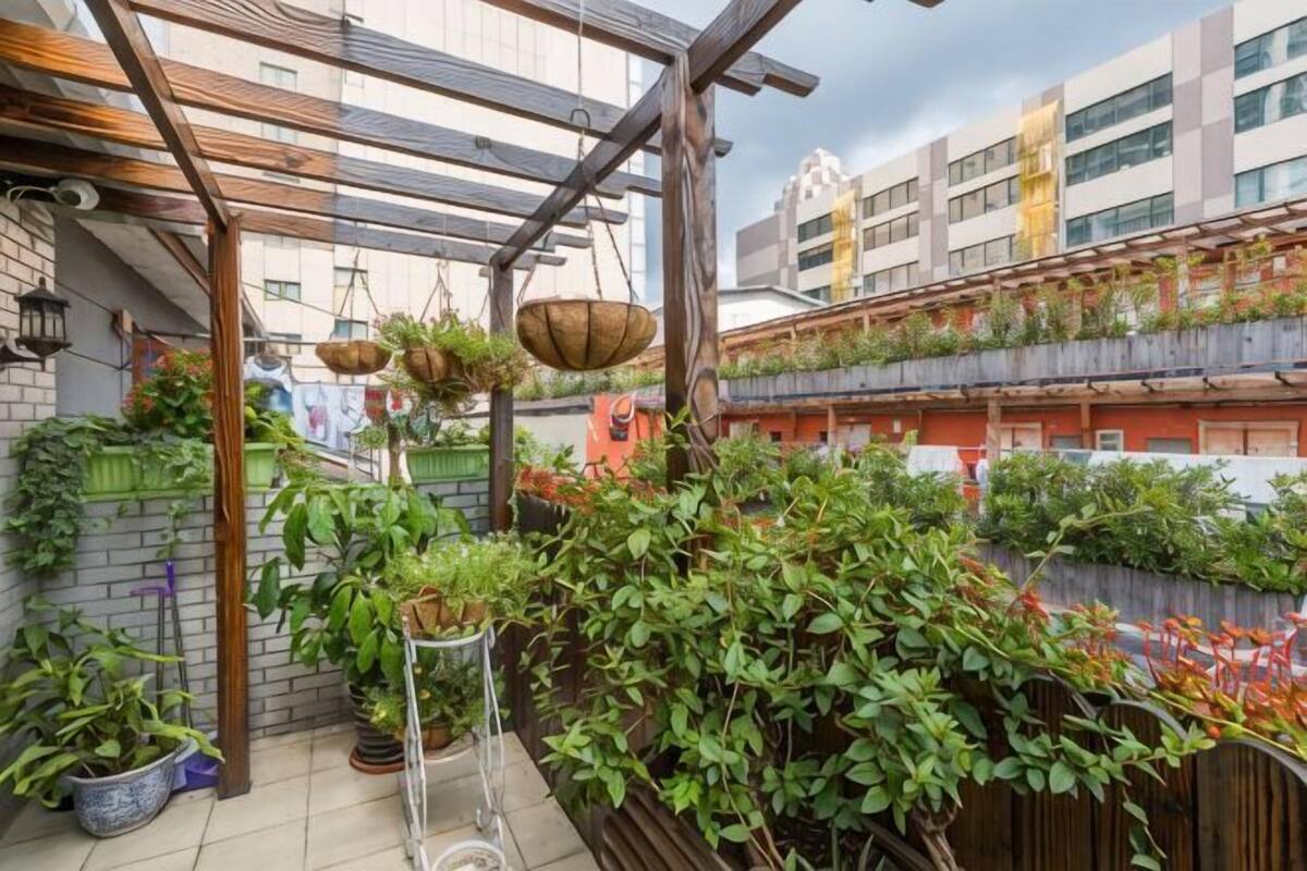 Un jardin sur le toit, agrémenté de plantes en pot, d’une pergola en bois et offrant une vue sur un bâtiment moderne en arrière-plan.