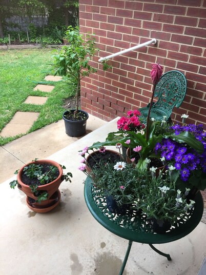 Bird Abode Accommodation in central Maryborough