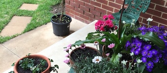 Bird Abode Accommodation in central Maryborough