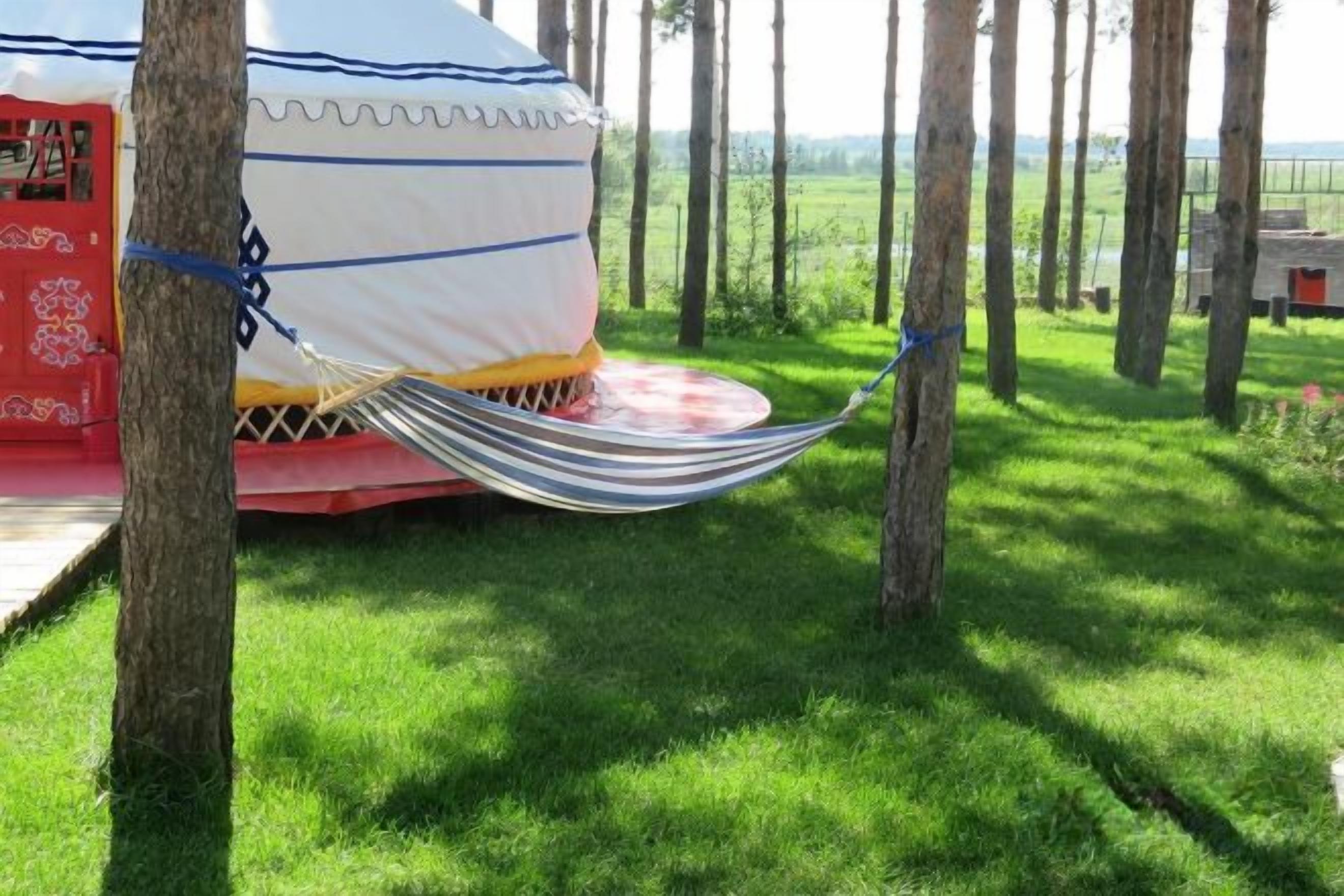 A tent with a hammock tied between trees, surrounded by grass.