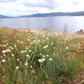 Sun-loungers - 5 Bed Luxury Home | Snowy Mountains | Sentinel Chalet | Jindabyne | Sleeps 14 (JINDABYNE)