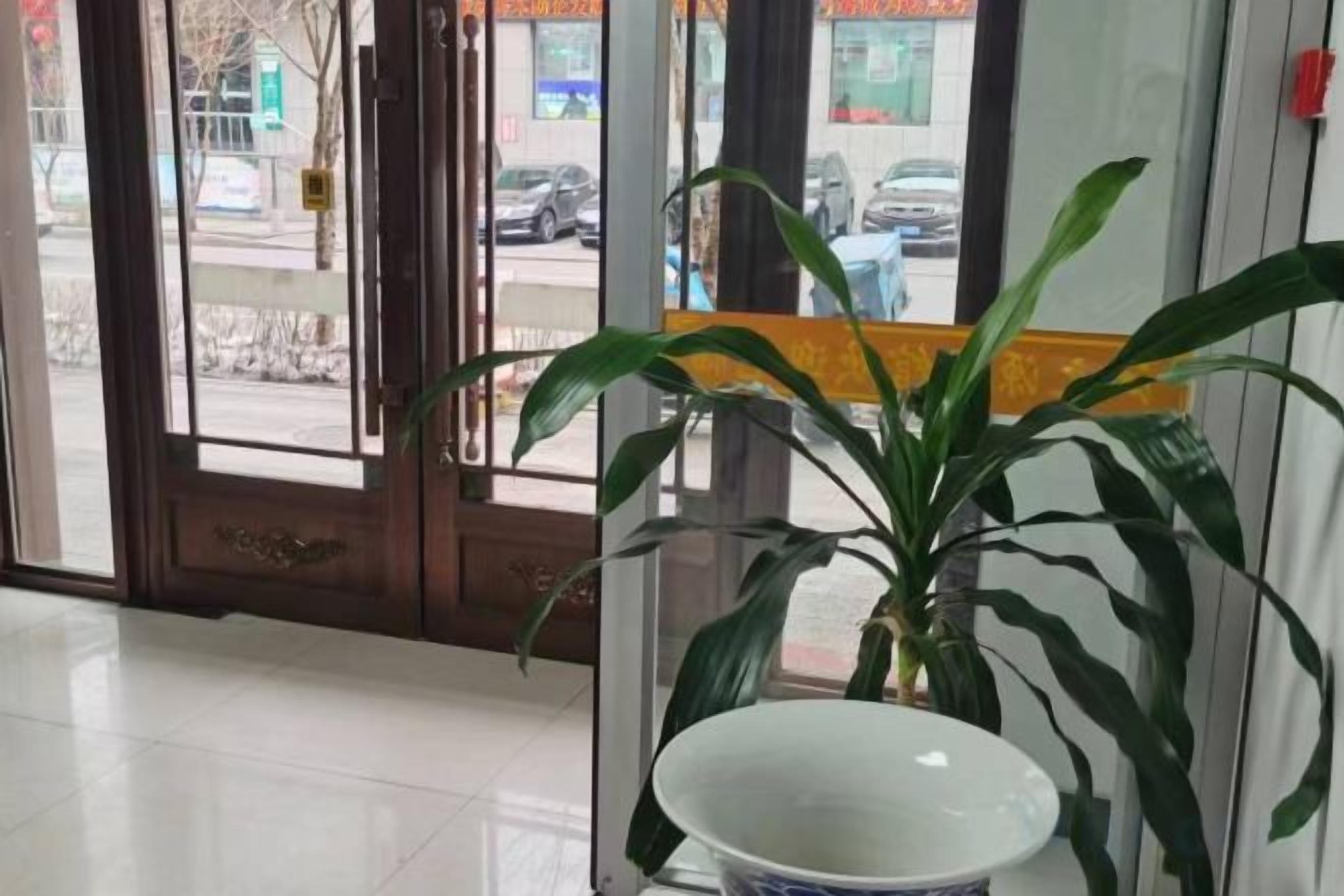 A reception area with a potted plant and a white bowl on a stand.