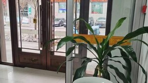A hotel entrance with a large potted plant and a white bowl on the floor. - Jiang Zhi Yuan Inn (Changbai County)