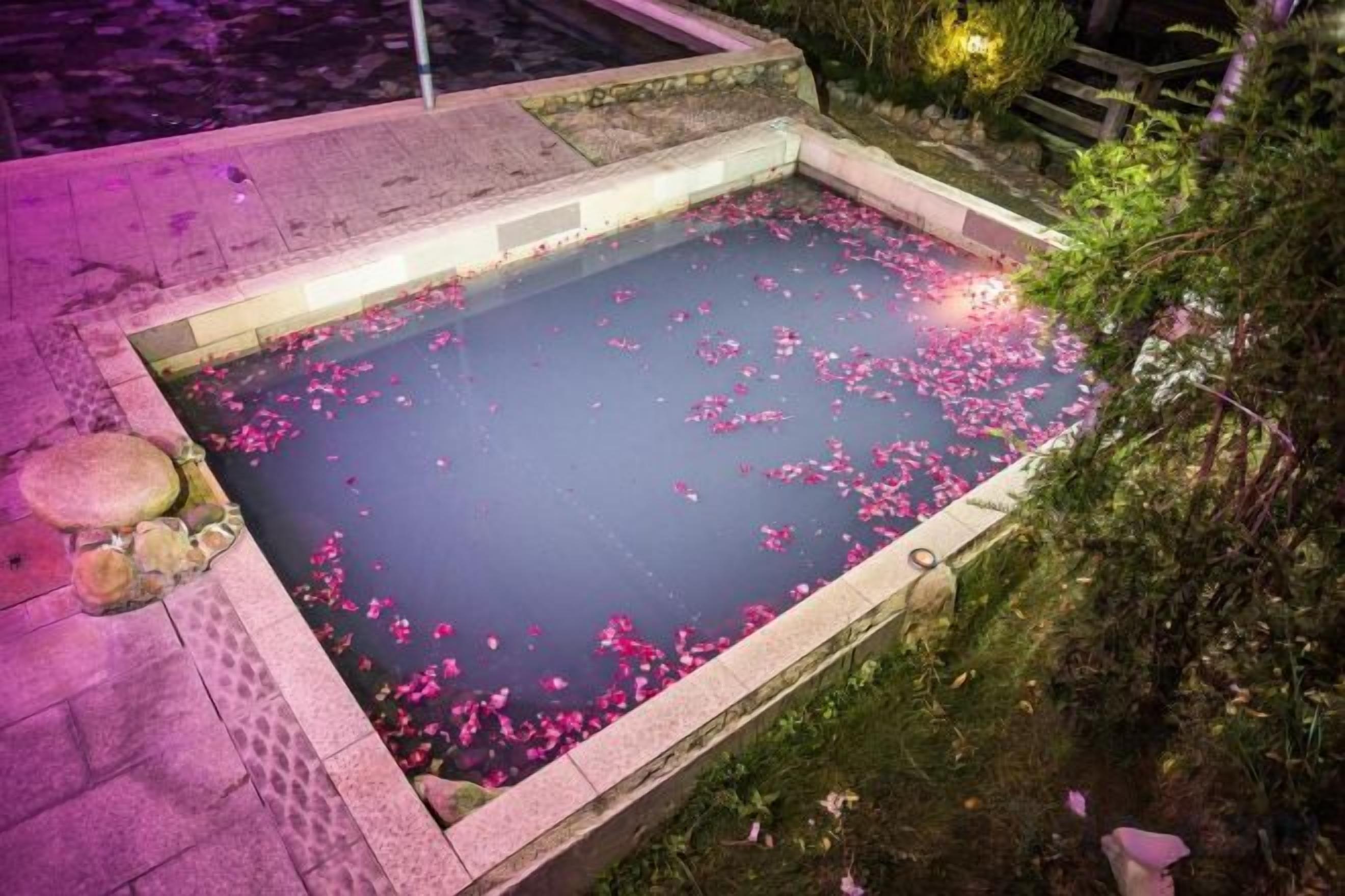 Piscina rectangular con borde de piedra, rodeada de follaje y una zona pavimentada.