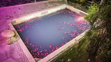 Piscina rectangular con borde de piedra, rodeada de follaje y una zona pavimentada.